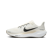 Nike Pegasus 41 Stra (FD2723-108)