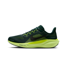 Nike Pegasus 41 (FD2723-302)