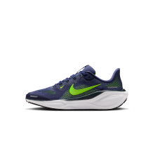 Nike Air Zoom Pegasus 41 GS (FN5041-501)