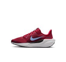 Nike Pegasus 41 Air Zoom (FN5041-602)