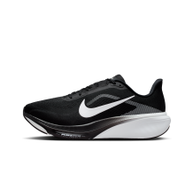 Nike Pegasus 42 (IR1228-001)