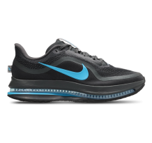 Nike Pegasus (HQ2592-018)