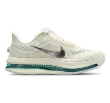 Nike Pegasus (HQ2593-008)