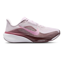 Nike Pegasus (IB1881-501)