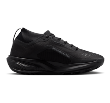 Nike Pegasus (IQ1394-003)