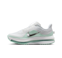 Nike Pegasus Premium (HQ2593-103)