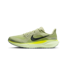 Nike Pegasus 41 (FD2722-303)