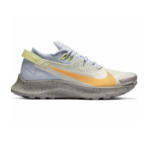 Nike Pegasus Trail 2 (CK4309-001)
