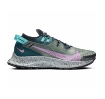 Nike Pegasus Trail 2 (CK4309-300)
