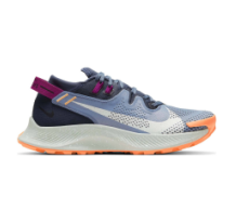 Nike Pegasus Trail 2 (CK4309-401)