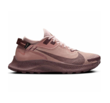 Nike Pegasus Trail 2 Gore Tex (CU2018-200)