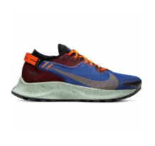 Nike Pegasus Trail 2 Gore Tex (CU2018-600)