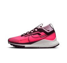 Nike Pegasus Trail 4 GORE TEX (FN7769-600)