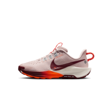 Nike Pegasus 5 Trail React Silt Hyper Crimson Sail Dark Team gs (FV5638-601)