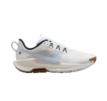 Nike Pegasus Trail 5 (DV3864-103)