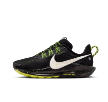 Nike Pegasus Trail 5 (DV3865-011)