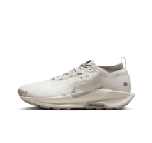 Nike Pegasus Trail 5 GORE TEX SP (HQ7494-100)