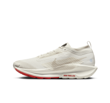 Nike Pegasus Trail 5 GORE TEX (FQ0908-100) in weiss