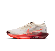 Nike Pegasus Trail 5 Gore TEX (FQ0908-104)