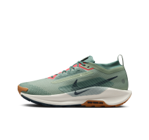 Nike Pegasus Trail 5 GORE TEX GTX (FQ0908-300)