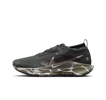 Nike Pegasus Trail 5 GORE TEX (IM6007-060)