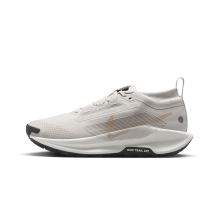 Nike Pegasus Trail 5 GORE TEX (FQ0912-008)
