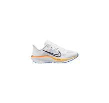 Nike Quest 6 (FD6033-111)