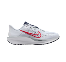 Nike Quest 6 (FD6033-107)