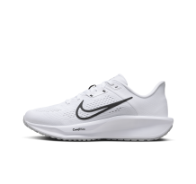 Nike Quest 6 (FD6034 100)