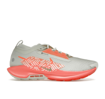 Nike Pegasus Trail 5 (FQ0912-004)