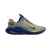 Nike Infinity Run 4 Gore Tex (HQ3222-276)