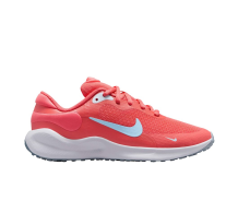 Nike Revolution 7 (FB7689-800)