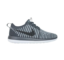 Nike Wmns Roshe Two Flyknit (844929-002)