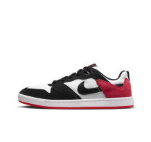 Nike Alleyoop SB (CJ0882-102)