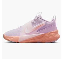 Nike Team Hustle D 12 Doll Pearl Apricot Agate gs (HF6279-500)