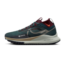 Nike React Pegasus Trail 4 GORE TEX (DJ7929-302)