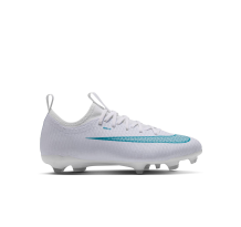 Nike Vapor 17 Academy FG MG (IM7359-101)