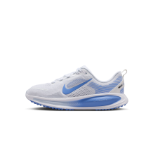 Nike Vomero 18 (HQ2157-109)