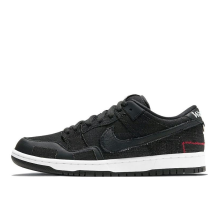 Nike Wasted Youth x Dunk Low SB (DD8386-001)