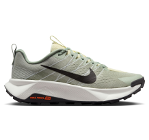 Nike Wildhorse 10 Jade Horizon Light Silver Safety Medium Ash (FV2338-300)