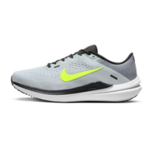 Nike Winflo 10 (DV4022-007) in grau