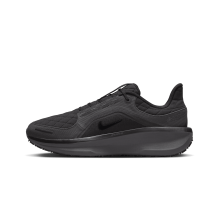 Nike Winflo 11 GORE TEX Air (FQ1358-001)