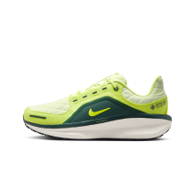 Nike Winflo 11 (FQ1359-300)