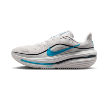 Nike Winflo 12 (HV9272-006)