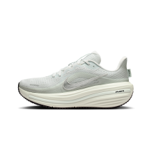 Nike Winflo 12 (HV9273-104)