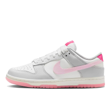 Nike Dunk Low 520 Pack (FN3451-161)