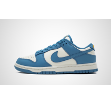 Nike Dunk Low Coast (Dd1503-100)