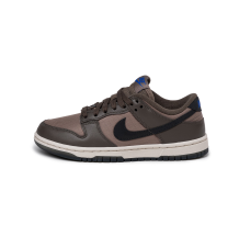 Nike Dunk Low (FZ2552-001) in grau