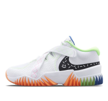 Nike Zoom Court Dragon (DV8166-101)