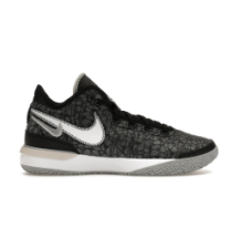 Nike Zoom LeBron NXXT Gen EP (DR8788 005)